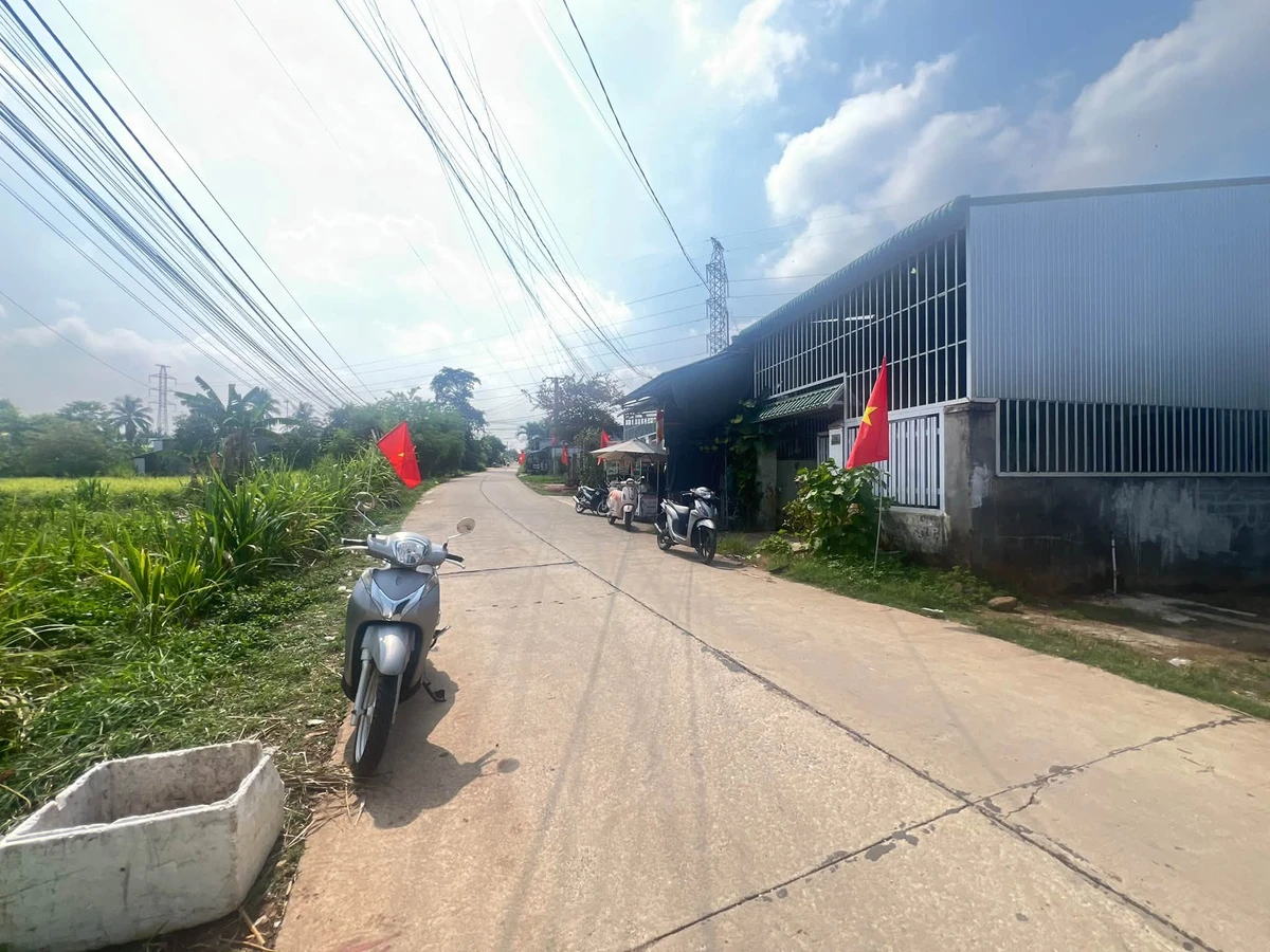 Bán đất mặt đường Triệu Quang Phục 230m² Cần Giờ - Ảnh thu nhỏ 3