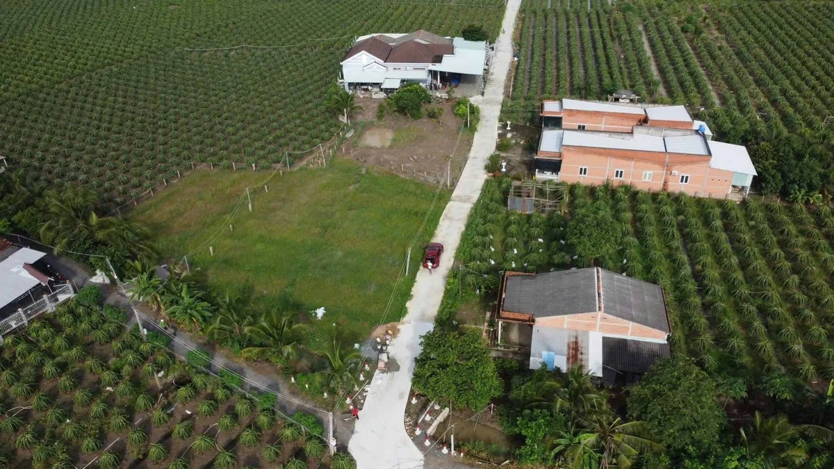 Bán 3 nền đất Hòa Phú Long An 125m2 - Ảnh 1