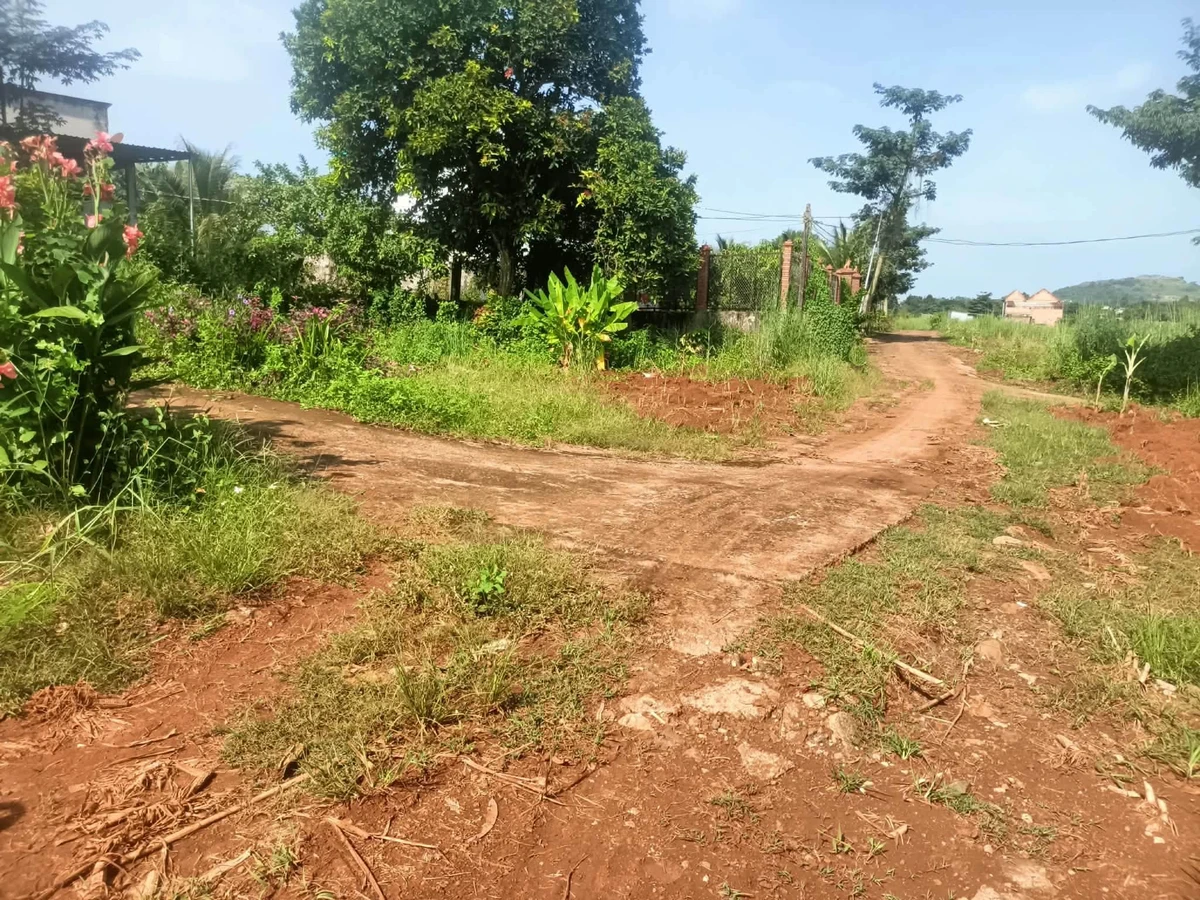 Bán đất 4700m² tại Cẩm Mỹ, Đồng Nai - Ảnh thu nhỏ 3