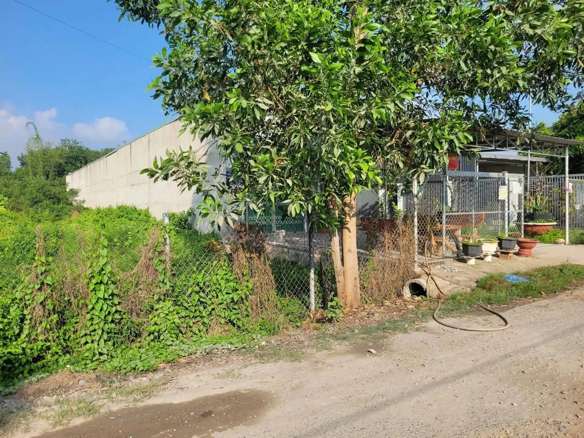 Bán đất 10x61m gần KCN Phước Đông, Tây Ninh, 2,3 tỷ - Ảnh thu nhỏ 4