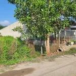 Bán đất 10x61m gần KCN Phước Đông, Tây Ninh, 2,3 tỷ - Ảnh thu nhỏ 4