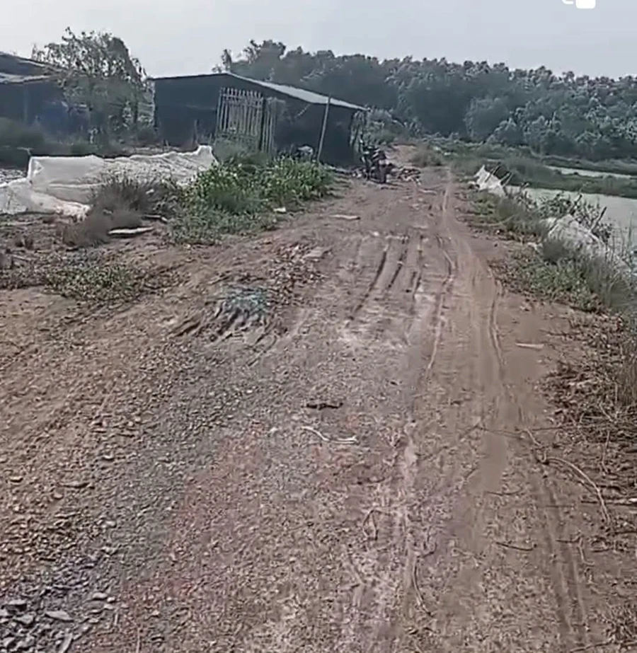 Bán đất 8500m² giá 1 tỷ 20 triệu Ba Tri Bến Tre - Ảnh thu nhỏ 2
