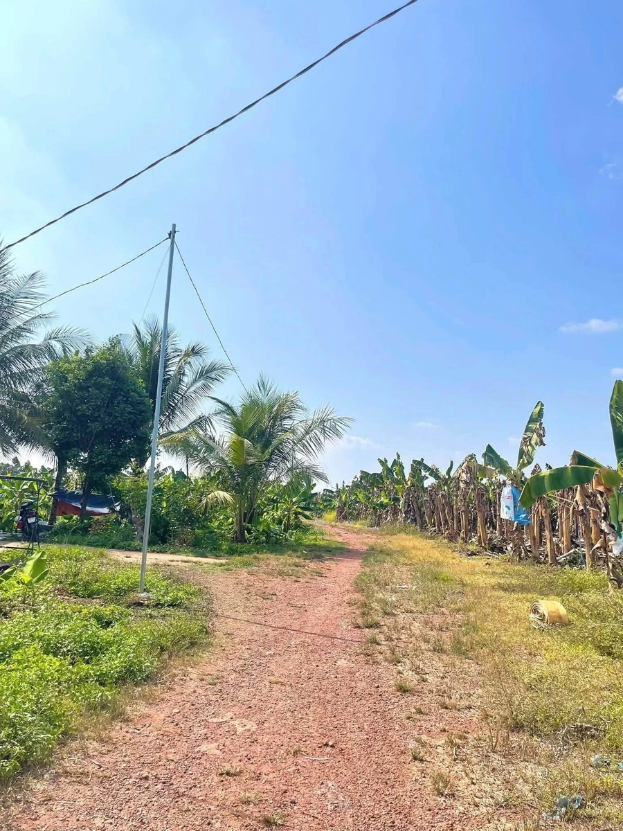 Bán đất vườn 1.001m² Sông Trầu Trảng Bom Đồng Nai - Ảnh thu nhỏ 2
