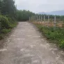 Chào bán lô đất vườn diện tích khủng hơn thích hợp xây villa hoặc kinh doanh du lịch tại Bà Nà - Ảnh thu nhỏ 5