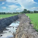 Bán 1 công đất Châu Thành Cần Thơ 390 triệu - Ảnh thu nhỏ 1