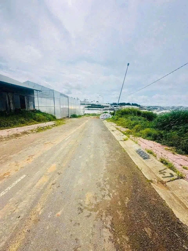 Bán lô đất 100m² Nguyễn Hoàng Đà Lạt 3,9 tỷ
