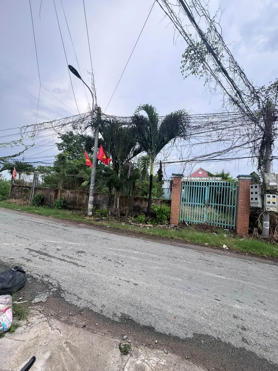 Bán nhà vườn 700m² Phước Lý Xã Long Thượng Củ Chi - Ảnh thu nhỏ 2