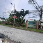 Bán nhà vườn 700m² Phước Lý Xã Long Thượng Củ Chi - Ảnh thu nhỏ 2