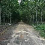 Bán đất Tân Bình 80m² giá 1,2 tỷ - Ảnh thu nhỏ 2