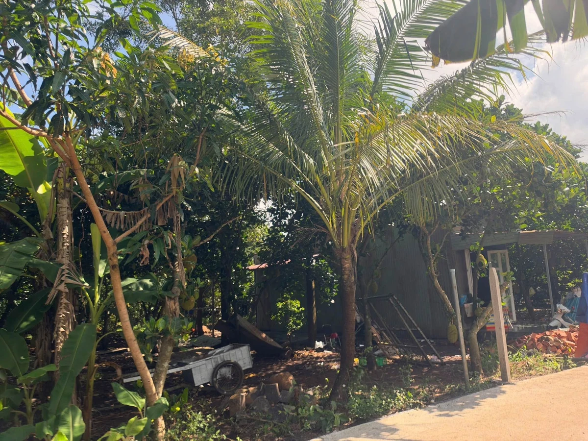 Bán đất vườn 500m² Phường Bảo Vinh, Đồng Nai - Ảnh thu nhỏ 3