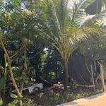 Bán đất vườn 500m² Phường Bảo Vinh, Đồng Nai - Ảnh thu nhỏ 3