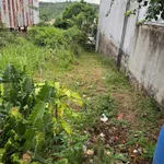 Bán đất Gia Nghĩa 250m² giá 1,3 tỷ - Ảnh thu nhỏ 2