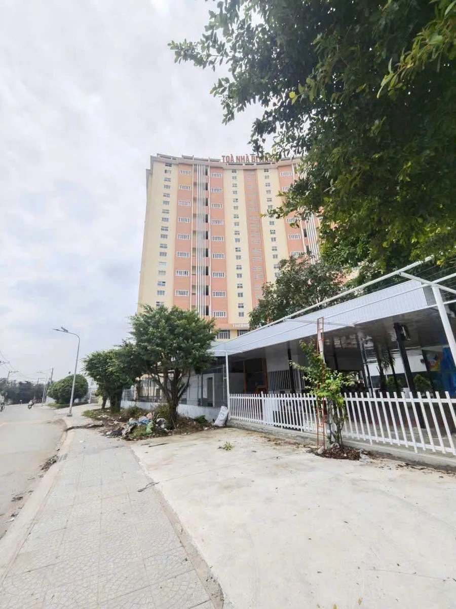Bán lô đất mặt tiền Trần Quang Diệu 288m2 Tân Bình - Ảnh thu nhỏ 5