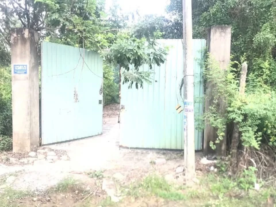 Bán đất vườn 1.456m² Tương Bình Hiệp, Thủ Dầu Một, giá 17,5 tỷ - Ảnh thu nhỏ 3
