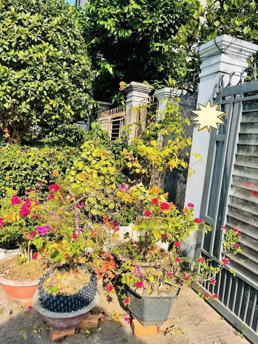 Bán nhà cấp 4 100m² Phường Bạc Liêu 1 tỷ 350 triệu - Ảnh thu nhỏ 5