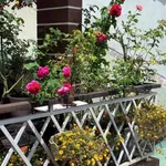 Bán nhà 3PN 91m² Nguyễn Trung Trực Đà Lạt - Ảnh thu nhỏ 3