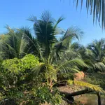 Bán đất vườn dừa 3,6 công Bình Đại, Bình Thuận - Ảnh thu nhỏ 5