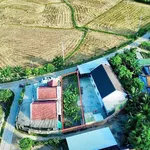 Bán đất thổ cư 166m2 Thôn Thạch Thành, Tân Định 899 triệu - Ảnh thu nhỏ 3