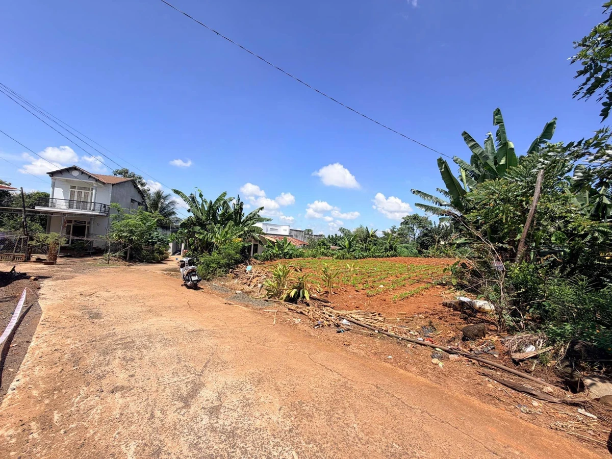 Bán lô đất hẻm thôn 3 Bình Mỹ Tây 250m² 2 tỷ 350 triệu - Ảnh 1