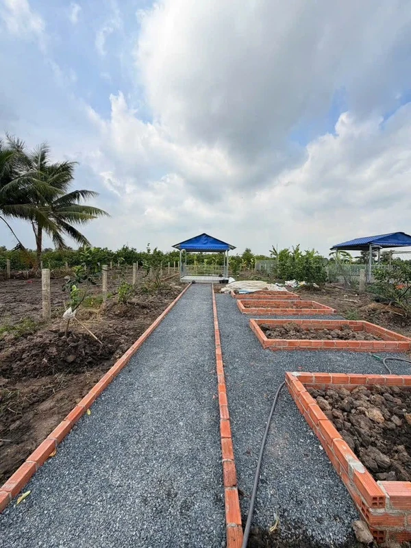 Bán nhà vườn 540m² giá 950 triệu Thủ Thừa, Long An