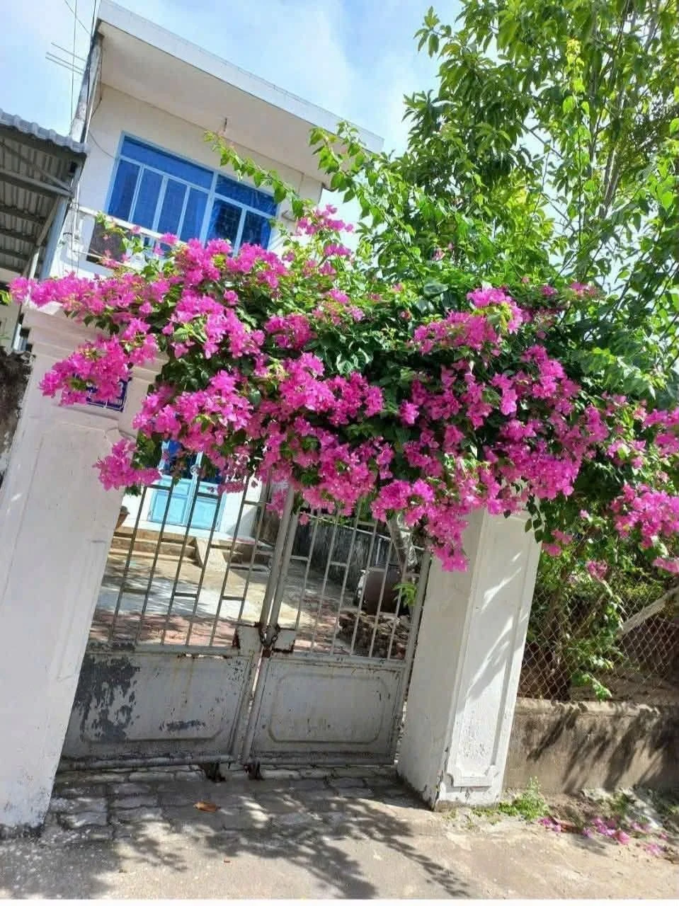 Cho thuê nhà nguyên căn 150 m2, 2 PN, Quảng Ngãi - Ảnh 1