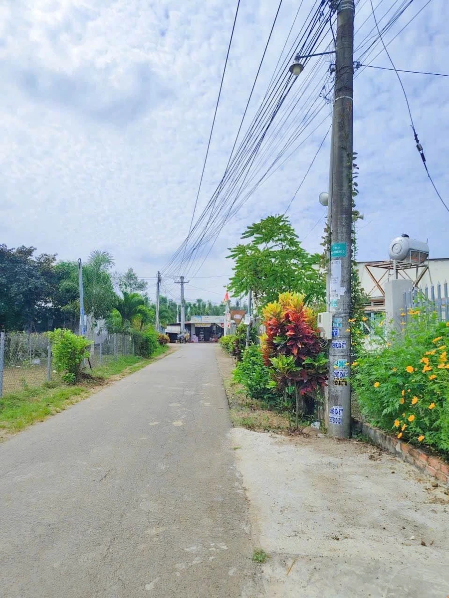 Bán đất thổ cư và đất nông nghiệp giáp ranh Long Khánh, Đồng Nai giá 430 triệu - Ảnh thu nhỏ 4