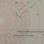 Bán đất thổ cư 388,7m² Tân Châu, Tây Ninh, 600 triệu - Ảnh thu nhỏ 4