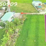 Bán lô đất siêu đẹp 5x30 - (147m2) - Đức Tân, Huyện Tân Trụ, Long An, giá đầu tư - Ảnh thu nhỏ 2