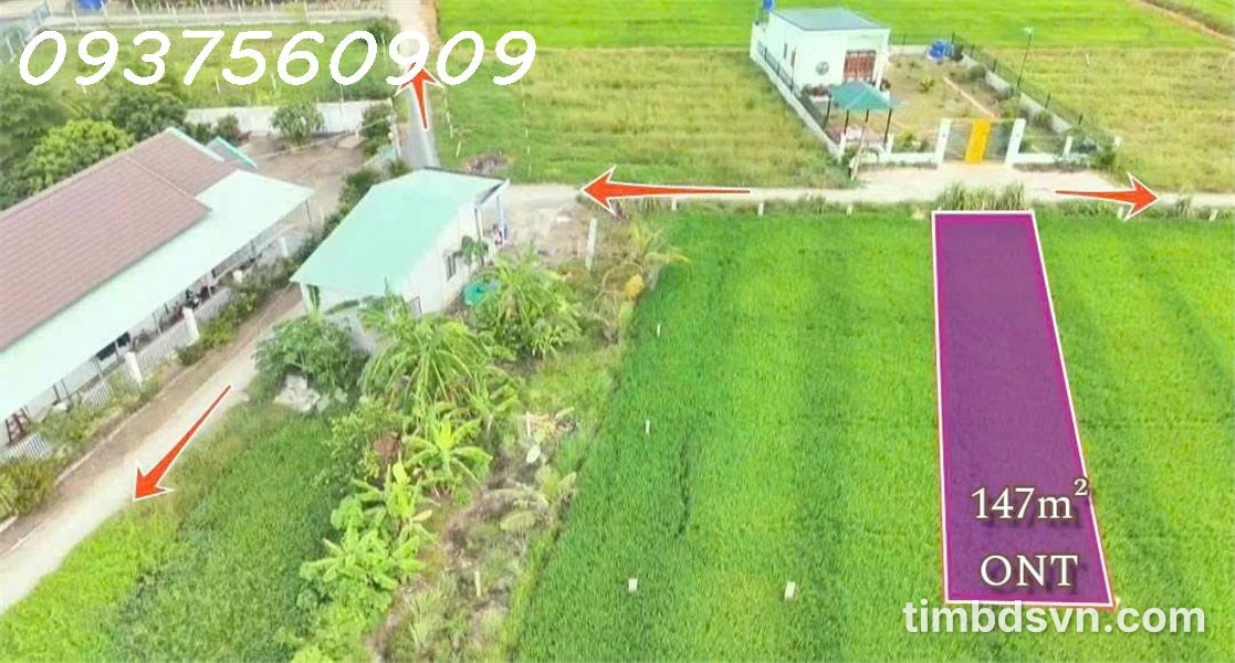 Bán lô đất siêu đẹp 5x30 - (147m2) - Đức Tân, Huyện Tân Trụ, Long An, giá đầu tư - Ảnh thu nhỏ 2