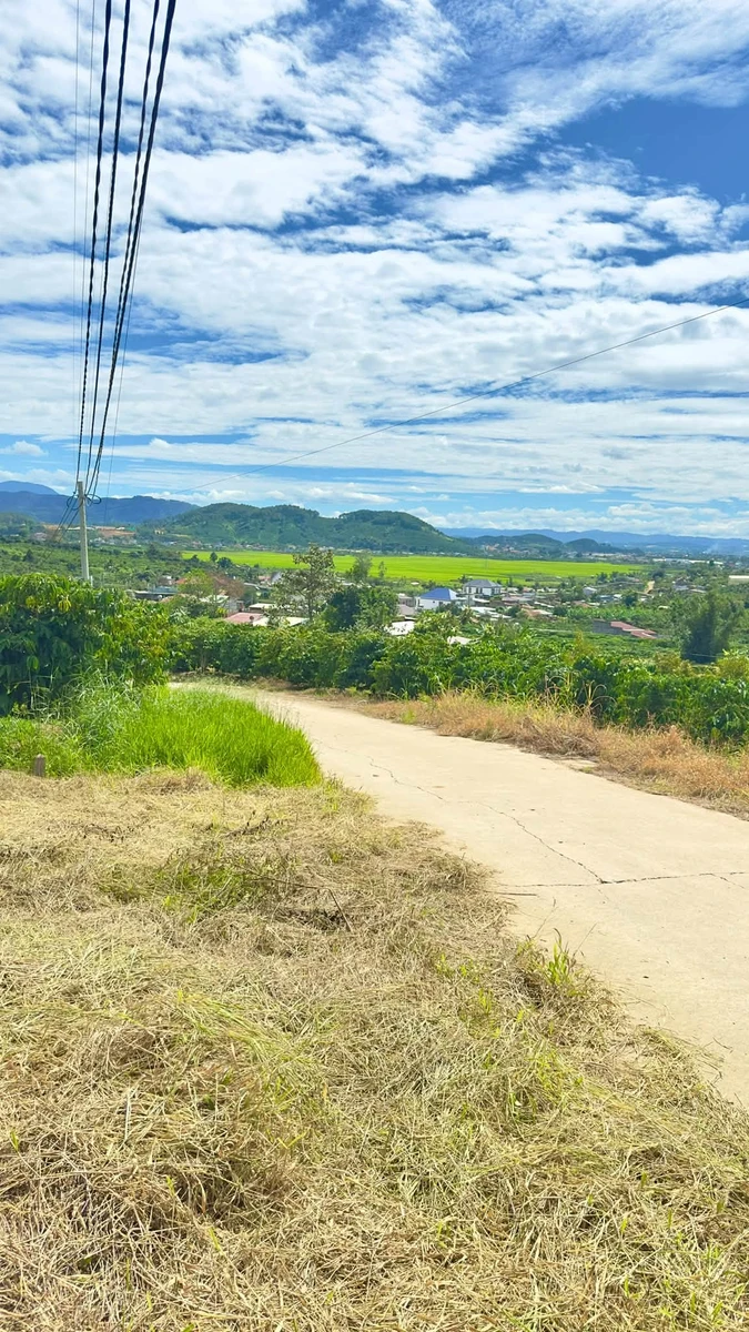 Bán đất Tân Đức, Đinh Văn Lâm, 225m² mặt tiền đường bê tông - Ảnh 1