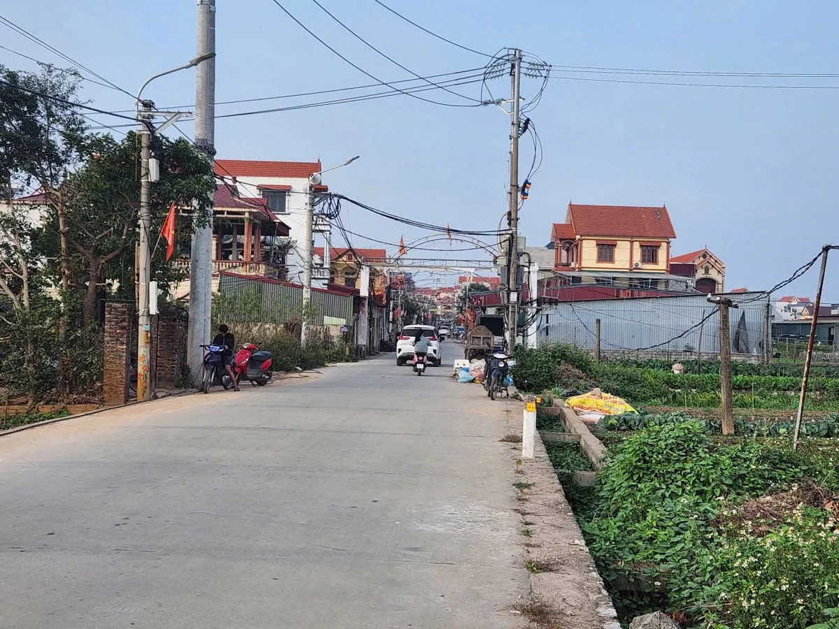 Bán đất mặt chợ 255m² Chương Dương Hà Nội 1,2 tỷ - Ảnh thu nhỏ 5