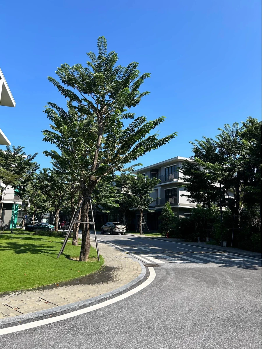 Bán biệt thự Ecopark Vinh 180m2, 8,8 tỷ - Ảnh thu nhỏ 3