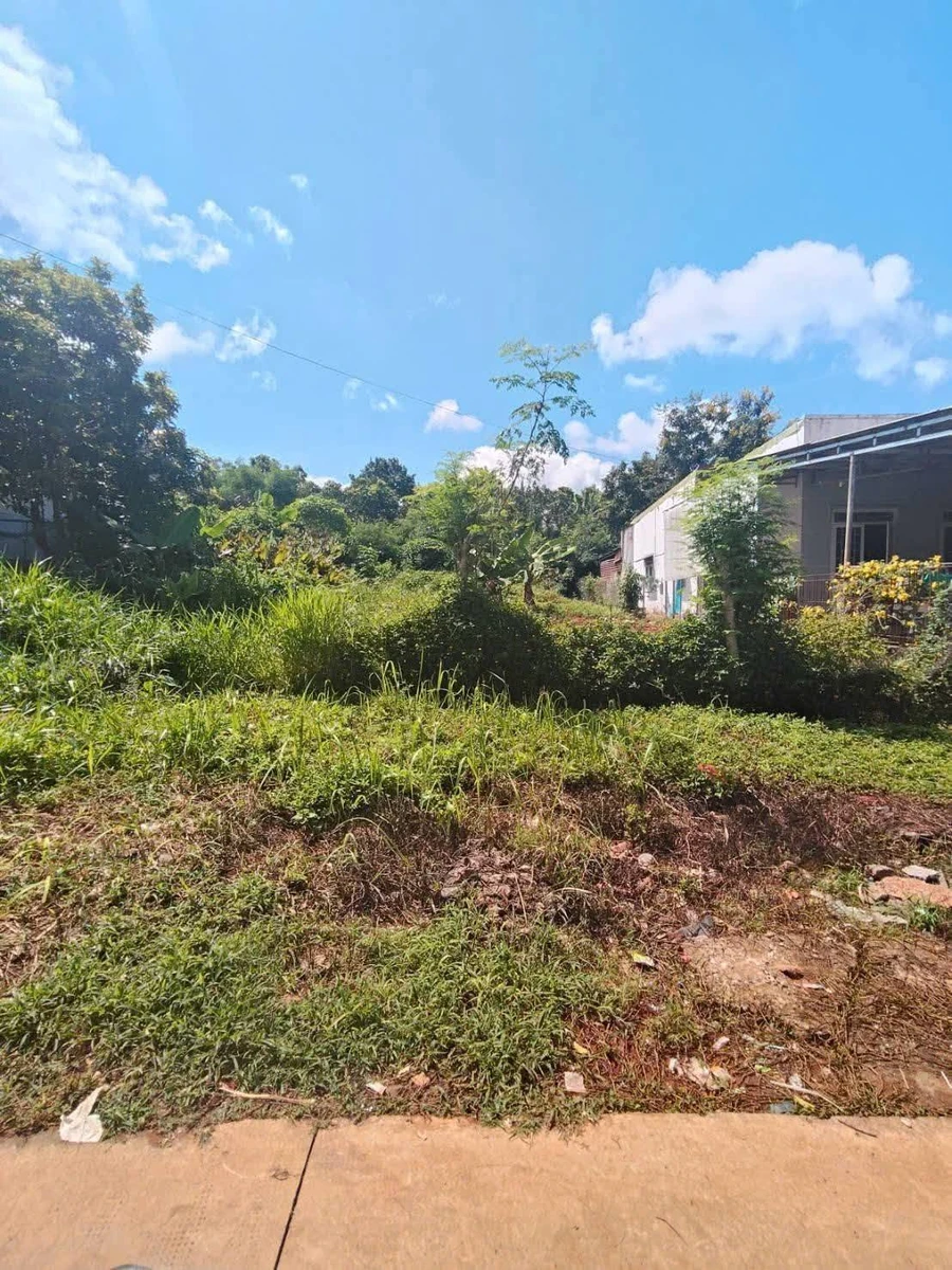 Bán lô đất 210m2 Lâm Đồng 550 triệu - Ảnh thu nhỏ 3