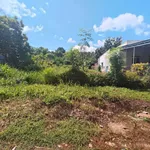 Bán lô đất 210m2 Lâm Đồng 550 triệu - Ảnh thu nhỏ 3