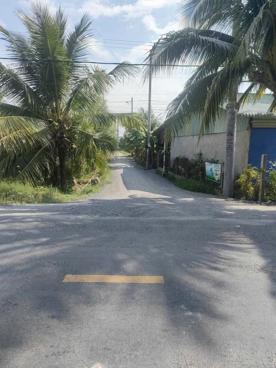 Bán 23.040m² đất lúa ở Bình Hòa Bắc, Tây Ninh - Ảnh thu nhỏ 2