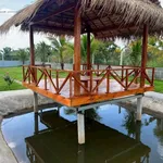 Bán nhà vườn 1052m² 2 PN view sông Vàm Cỏ Bến Lức Long An - Ảnh thu nhỏ 1