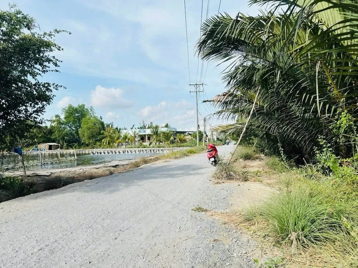 Bán đất mặt tiền 1984m2 Cần Đước, Long An - Ảnh thu nhỏ 4