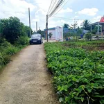 Bán nền đất 140m² Tây Ninh, giá 499 triệu - Ảnh thu nhỏ 2