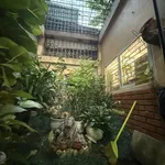 Cách phố cổ 200m, mặt đường Trần Hưng Đạo, chính chủ cần bán nhà - Ảnh thu nhỏ 6