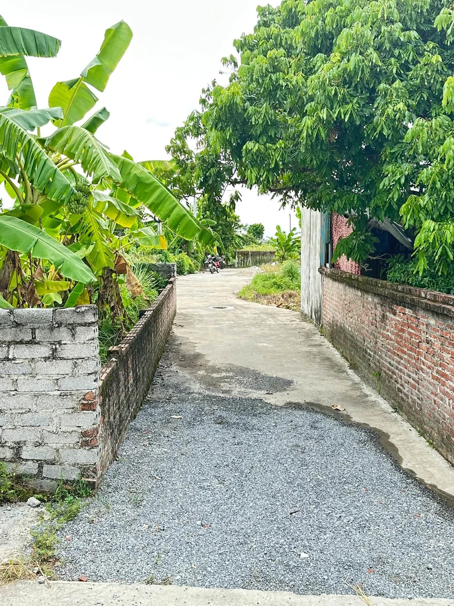 Bán lô đất Cầu Lâm Phạm Trấn Hải Dương 100m² 1 tỷ - Ảnh thu nhỏ 2
