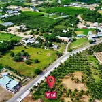 Bán đất xã Phước Hải 211m2, cách biển 4km, 1 tỷ 350 triệu - Ảnh thu nhỏ 3