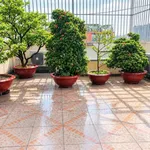 Bán nhà 4 tầng 118m² Quận 9, 13 tỷ - Ảnh thu nhỏ 4