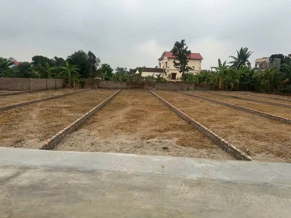 Bán đất 162m² Bắc Ninh, 1.6 tỷ, ô tô tránh nhau - Ảnh thu nhỏ 5