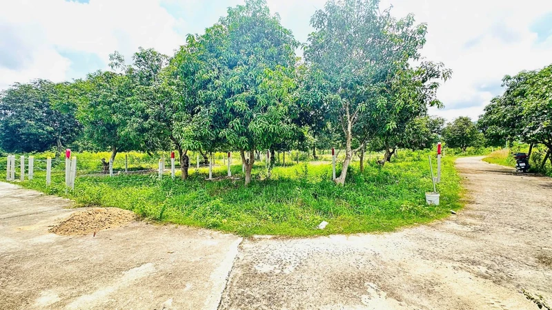 Bán đất vườn 82,5 m² giá 555 triệu Khánh Hòa