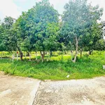 Bán đất vườn 82,5 m² giá 555 triệu Khánh Hòa - Ảnh thu nhỏ 1
