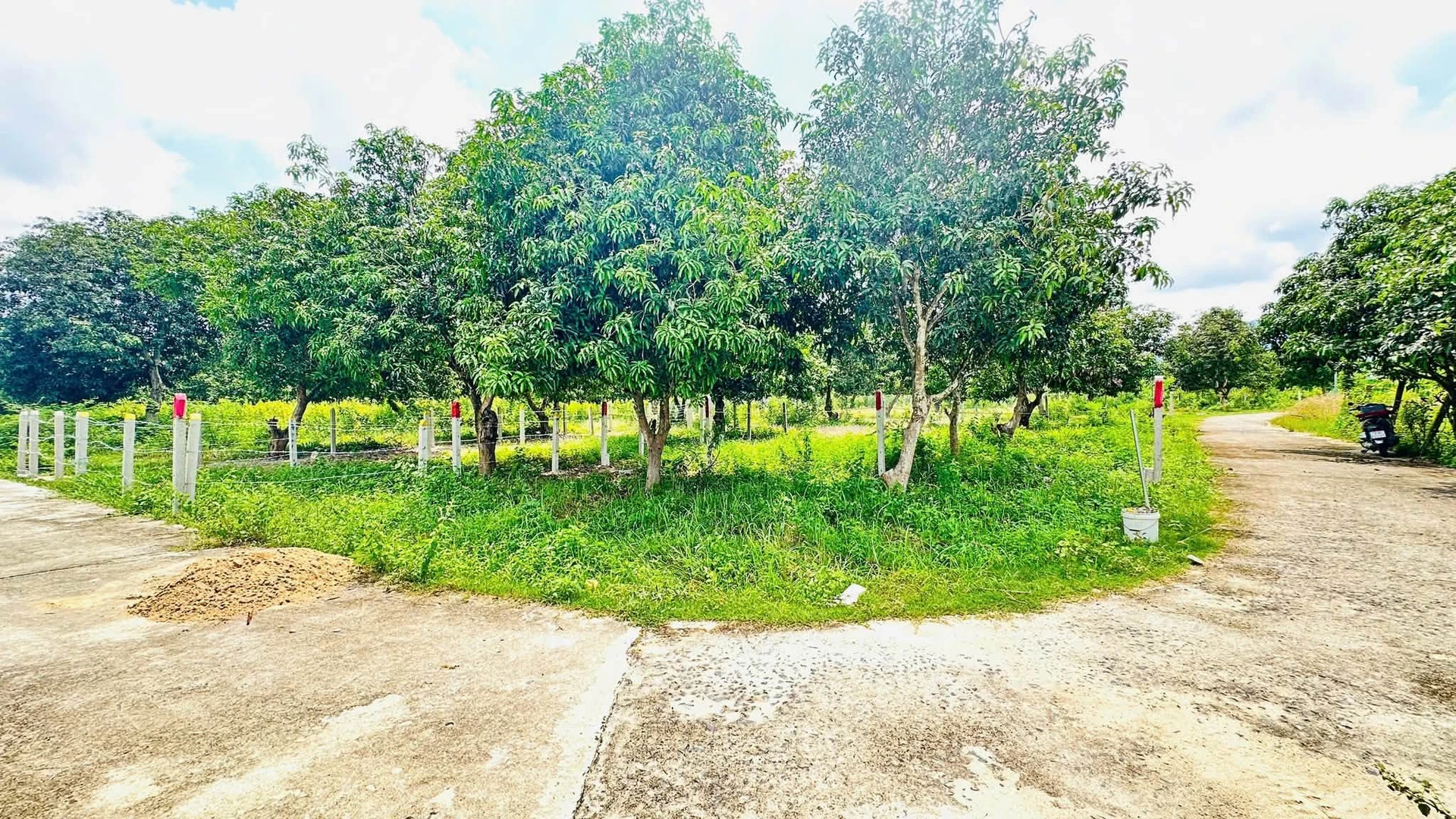 Bán đất vườn 82,5 m² giá 555 triệu Khánh Hòa - Ảnh 1