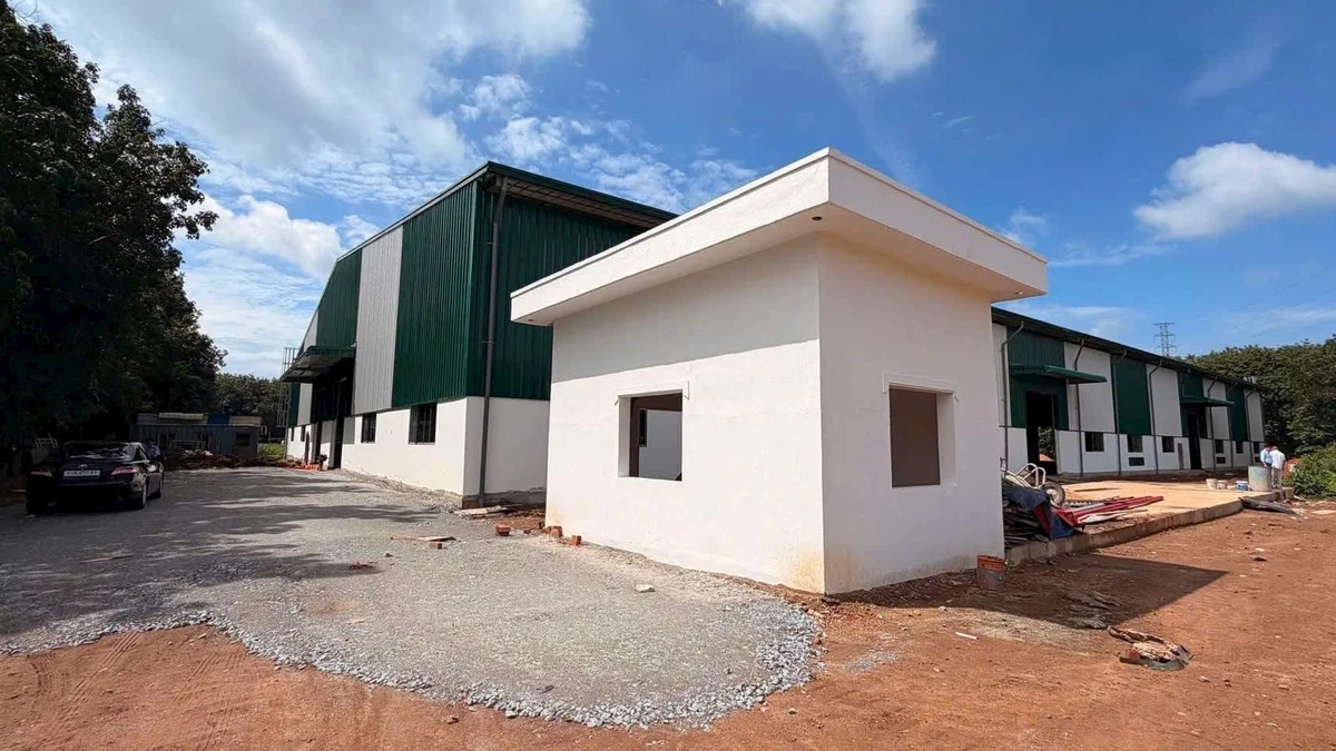 Bán hoặc cho thuê nhà xưởng 2ha đất 20.000m² tại Phú Giáo, Bình Dương - Ảnh thu nhỏ 3