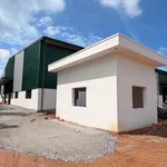 Bán hoặc cho thuê nhà xưởng 2ha đất 20.000m² tại Phú Giáo, Bình Dương - Ảnh thu nhỏ 3