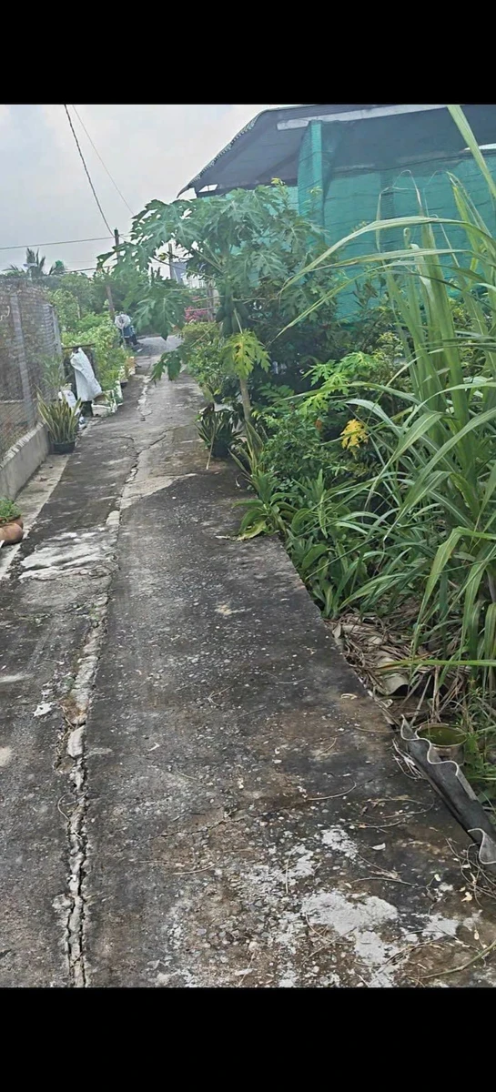 Bán lô đất 130m2 xã Long Hòa Cần Dước Long An 650 triệu - Ảnh thu nhỏ 2