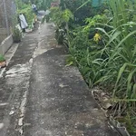 Bán lô đất 130m2 xã Long Hòa Cần Dước Long An 650 triệu - Ảnh thu nhỏ 2